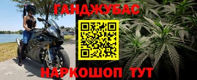 сатива Лесосибирск