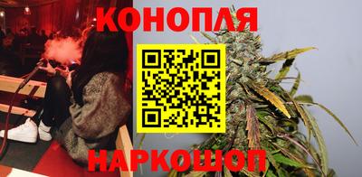 сатива Лесосибирск