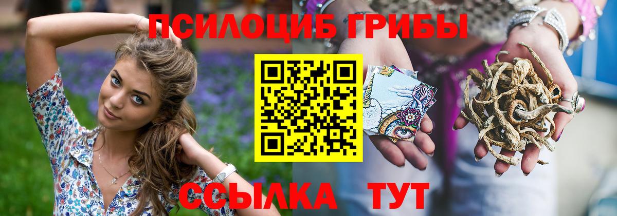 Галлюциногенные грибы GOLDEN TEACHER Кашира