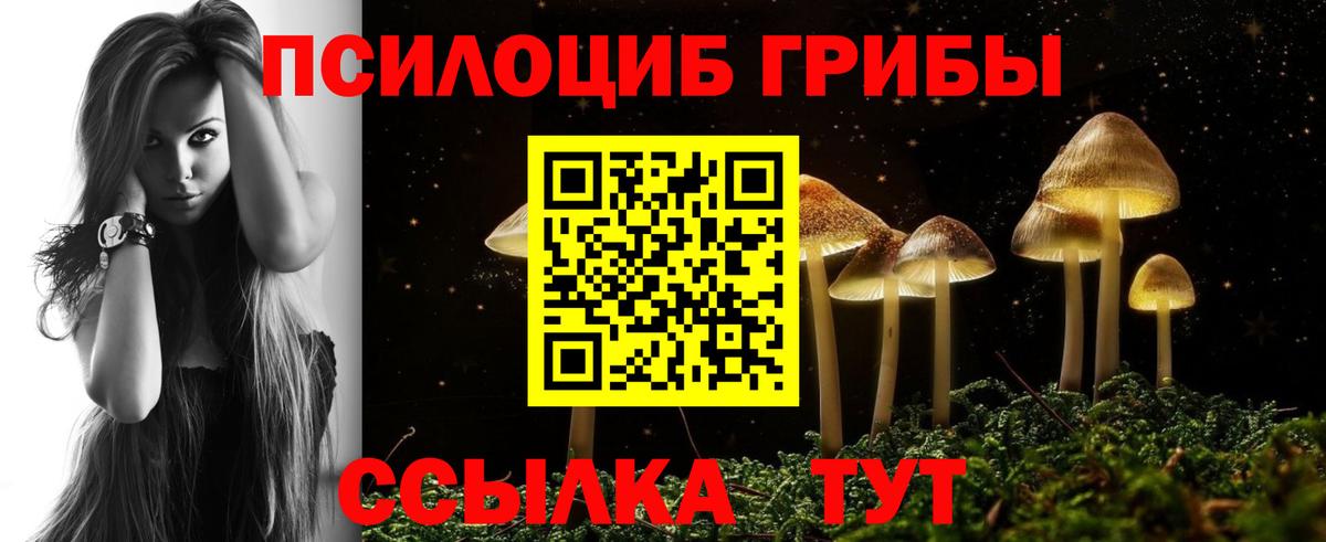 где можно купить   Псилоцибиновые грибы мухоморы  Вход с VPN  Кашира 